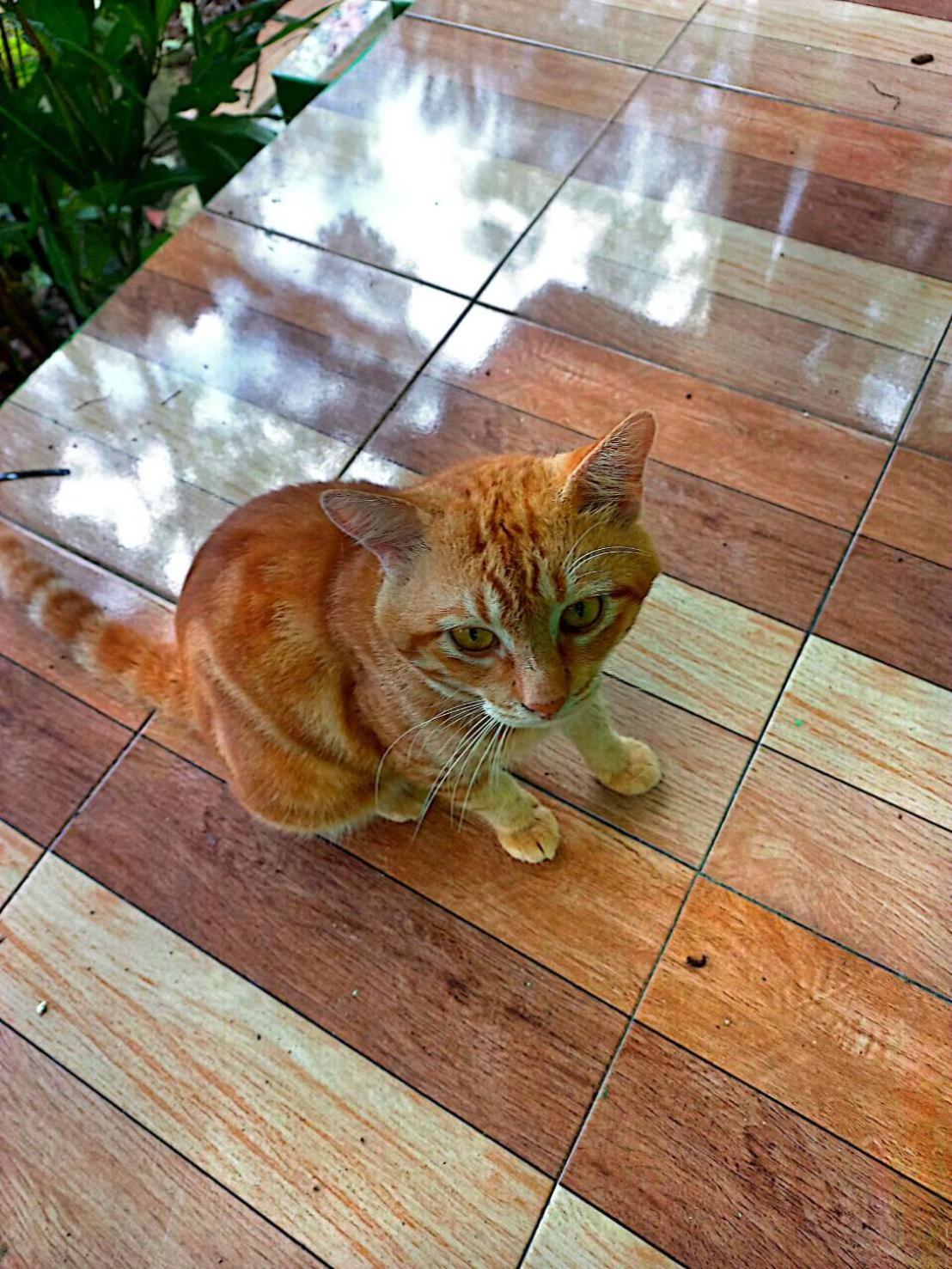Lanta Maikeaw Bungalow Ko Lanta Zewnętrze zdjęcie